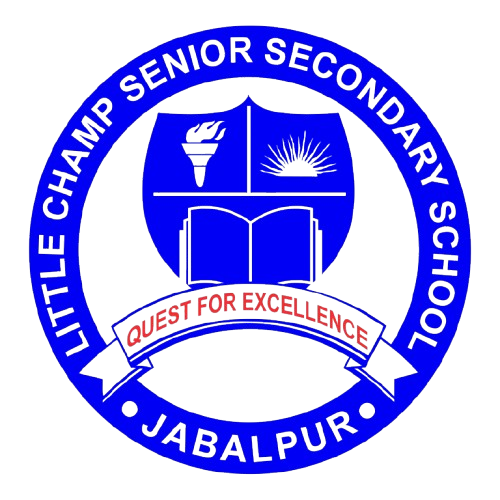 Logo__1_ removebg preview