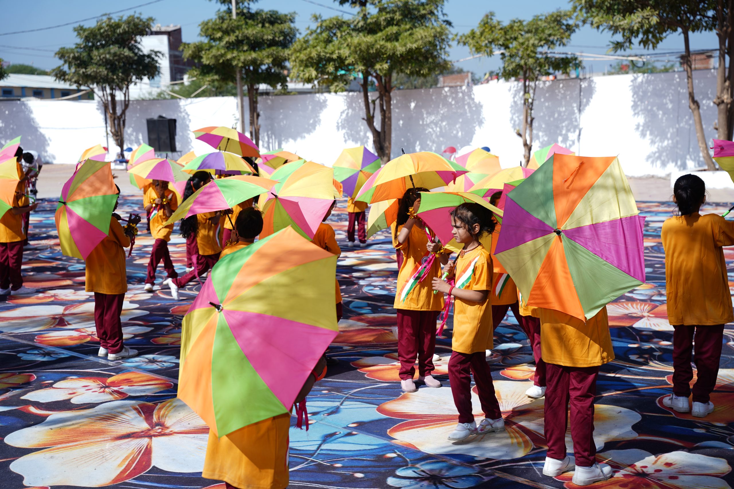 Little Champ School Jabalpur